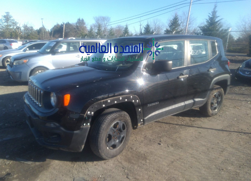 جيب رينيجيد 2015