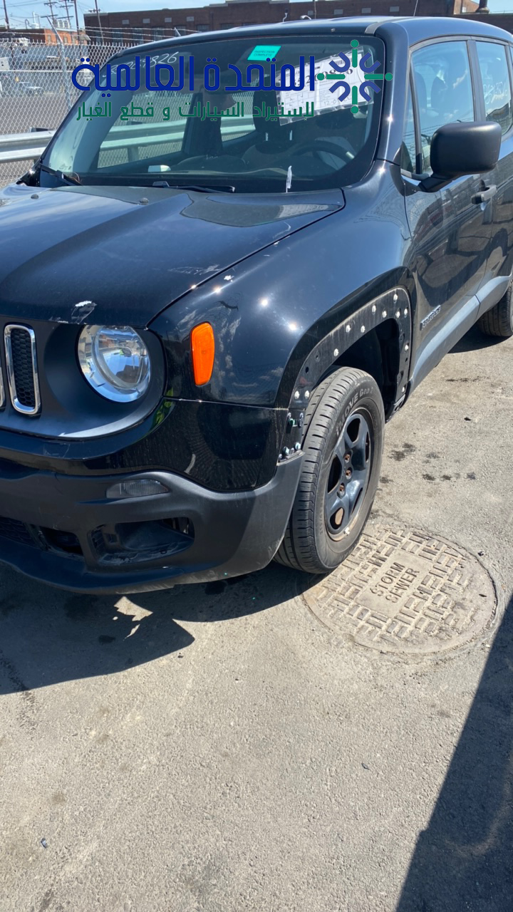 جيب رينيجيد 2015