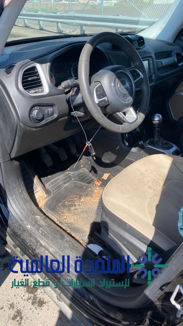 جيب رينيجيد 2015