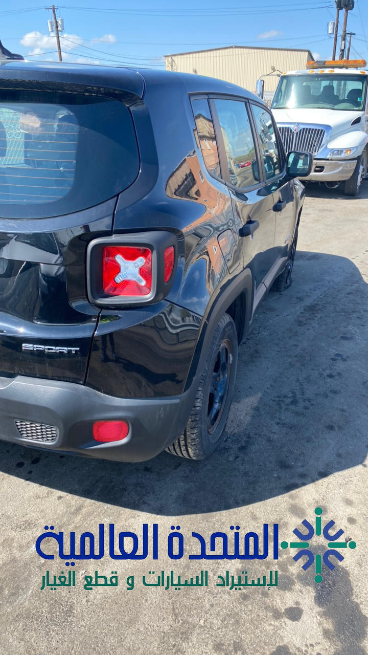 جيب رينيجيد 2015