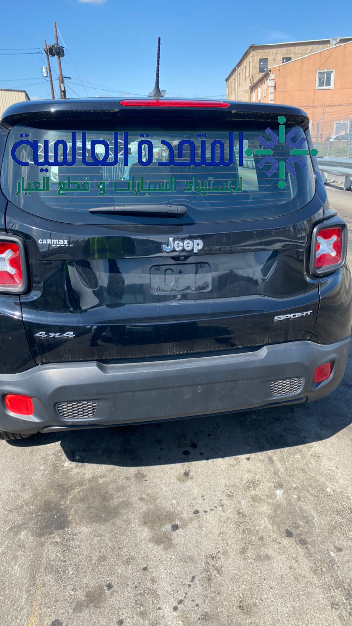 جيب رينيجيد 2015