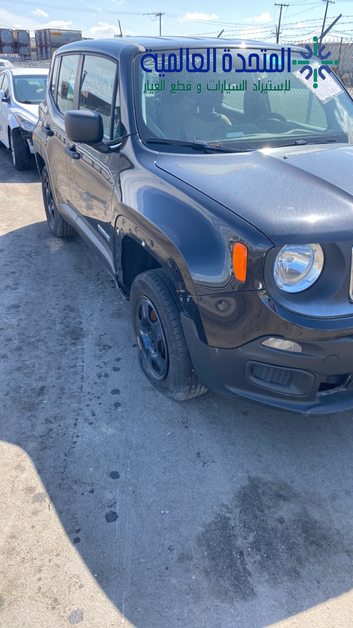 جيب رينيجيد 2015