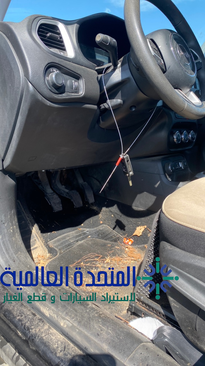 جيب رينيجيد 2015