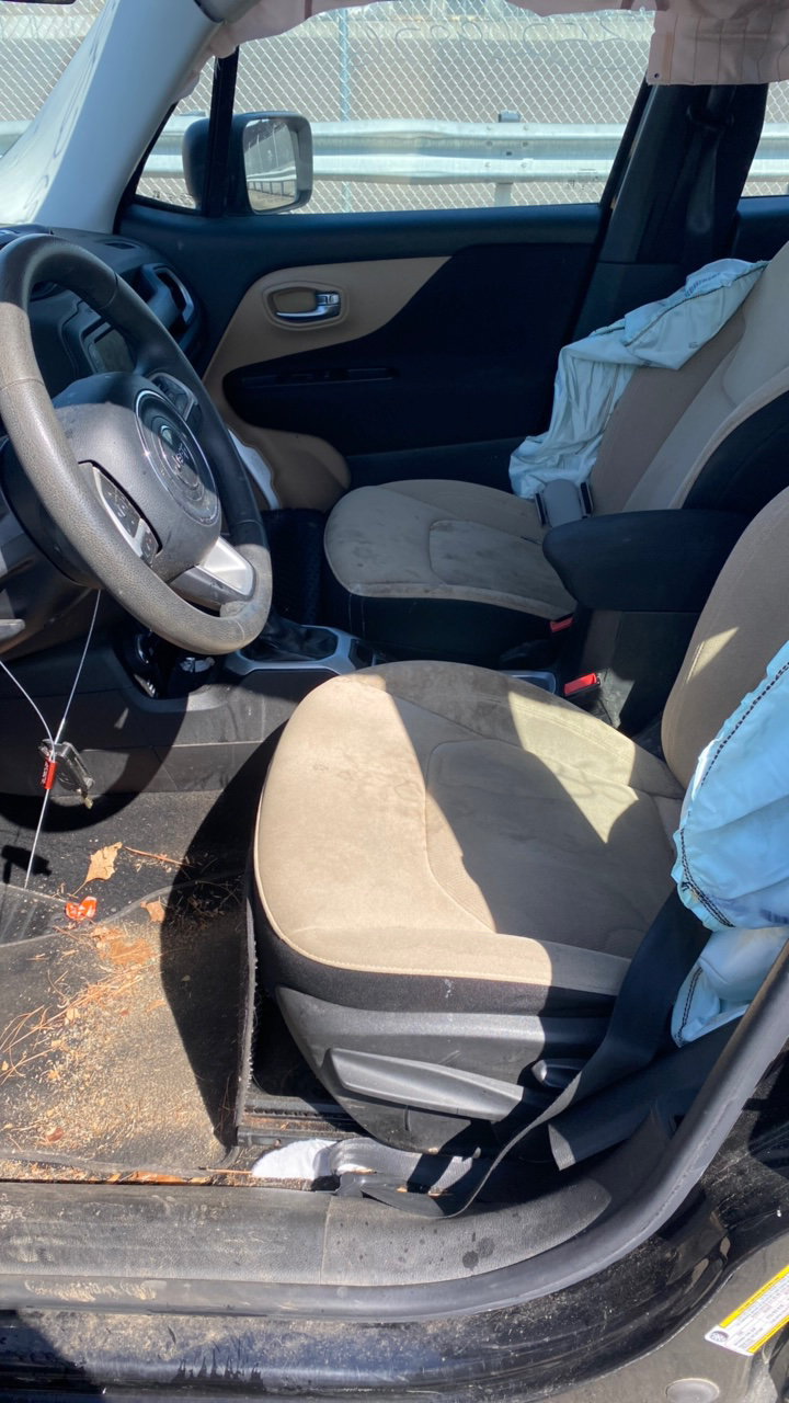 جيب رينيجيد 2015